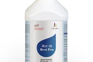 BestPro Solution