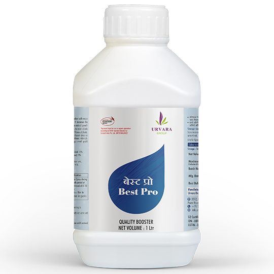 bestpro solution