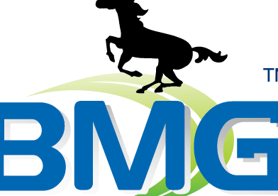bmg advertising and graphic pg0226276 u