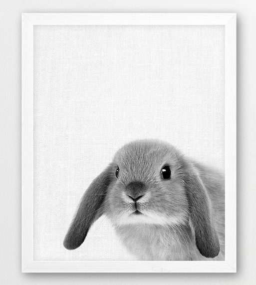 Bunny Print 1 bunny print