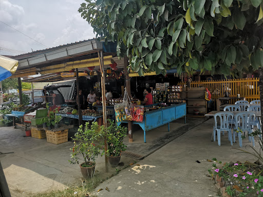 Kebun Sea Loy Kacang Goreng Sempalit