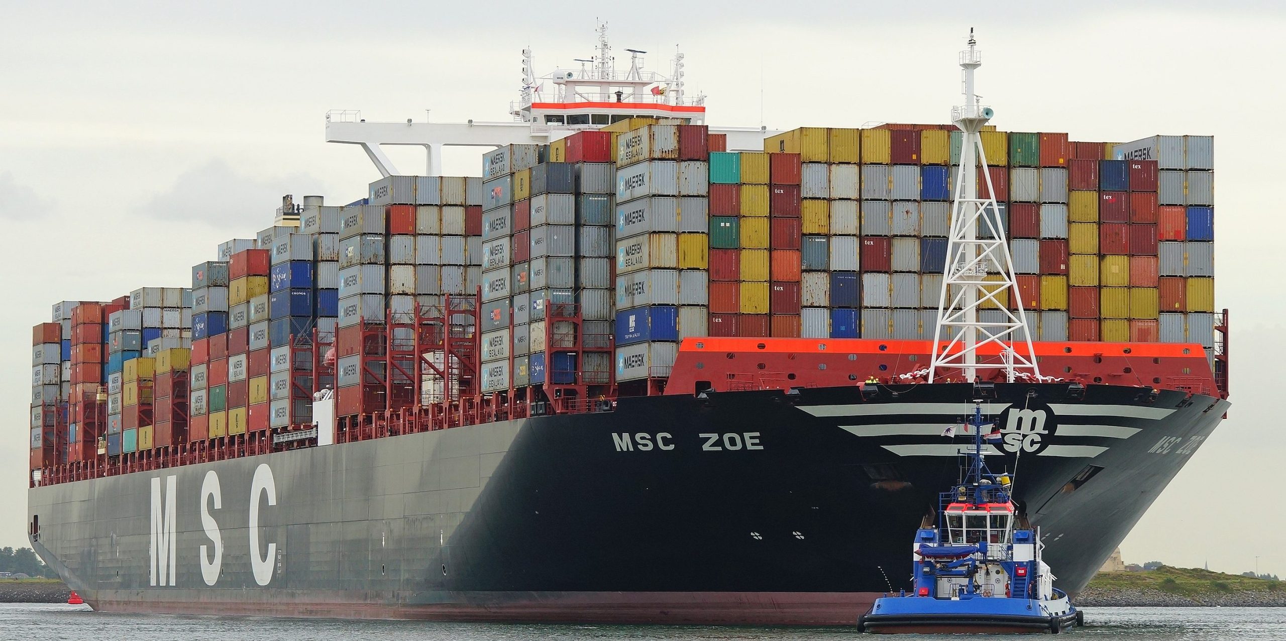 msc worldwide sales services scaled