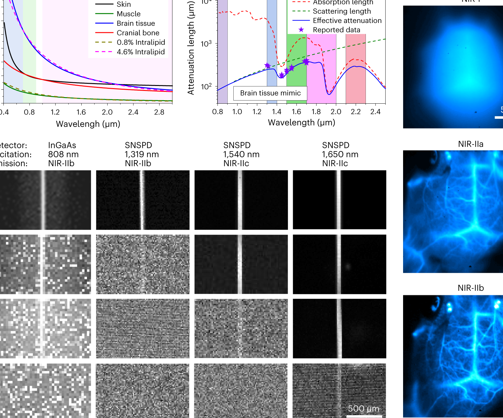photocopy shoparus spektrum