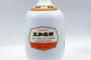 Pustaka Chiew
