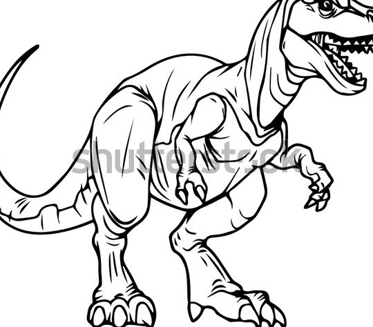 rex colour foto