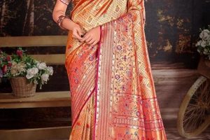 Sari Photo