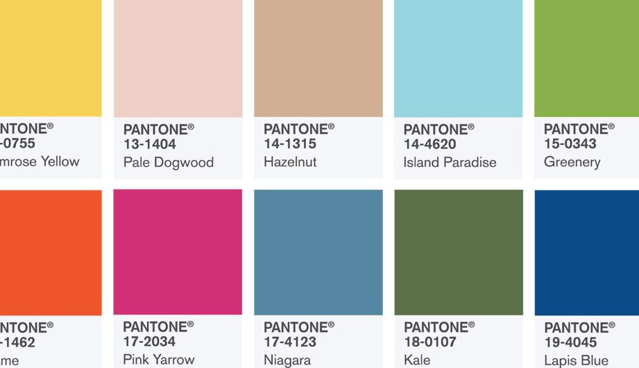 Top Colour 1 top colour