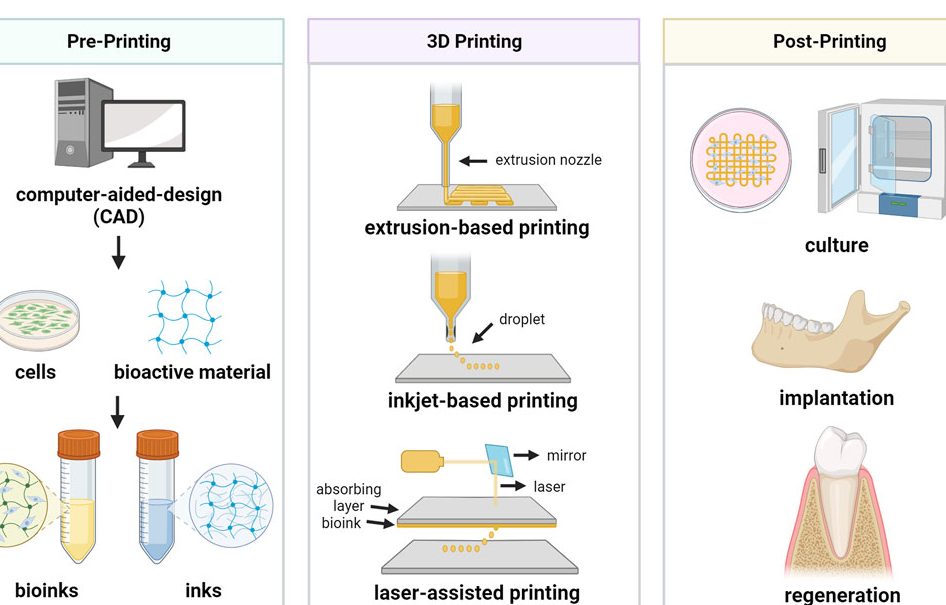 X WEN DIGITAL PRINT S/B 1 x wen digital print s b
